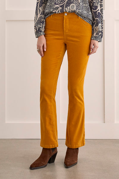 Boot/Cut Corduroy Pants