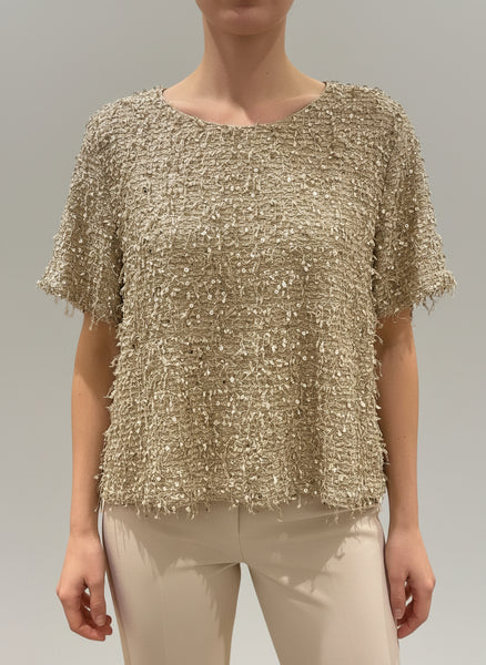 Short Sleeve Sequin Sweater