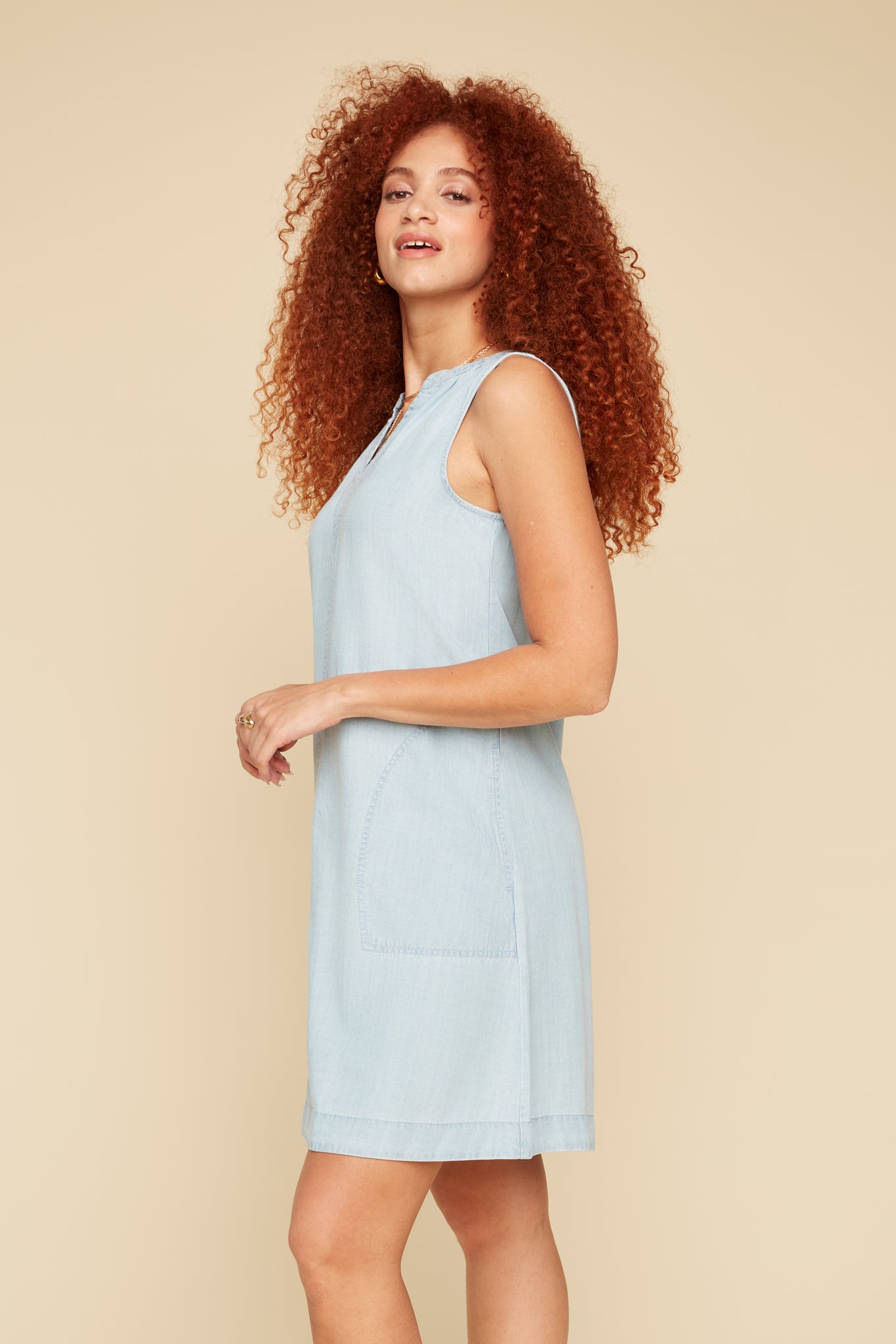 Sleeveless Swing  Tencel Dress