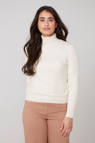 Turtle Neck Sweater